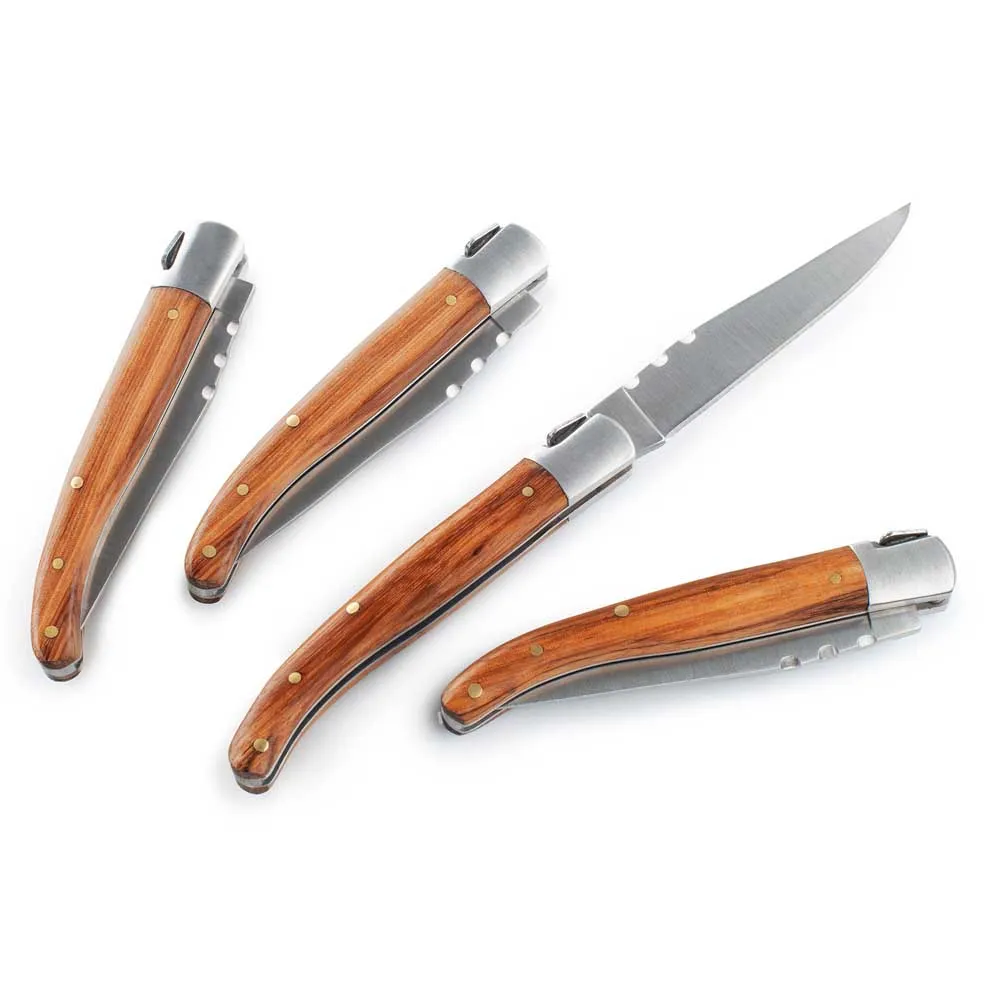 Gsi Outdoors Rakau Steakmessen Multicolor