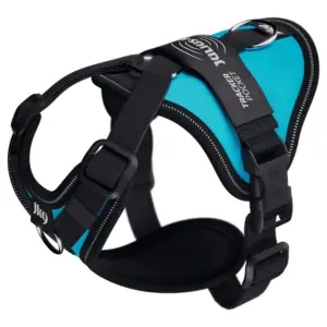 Julius K-9 Longwalk Light Hondenharnas Aquamarine