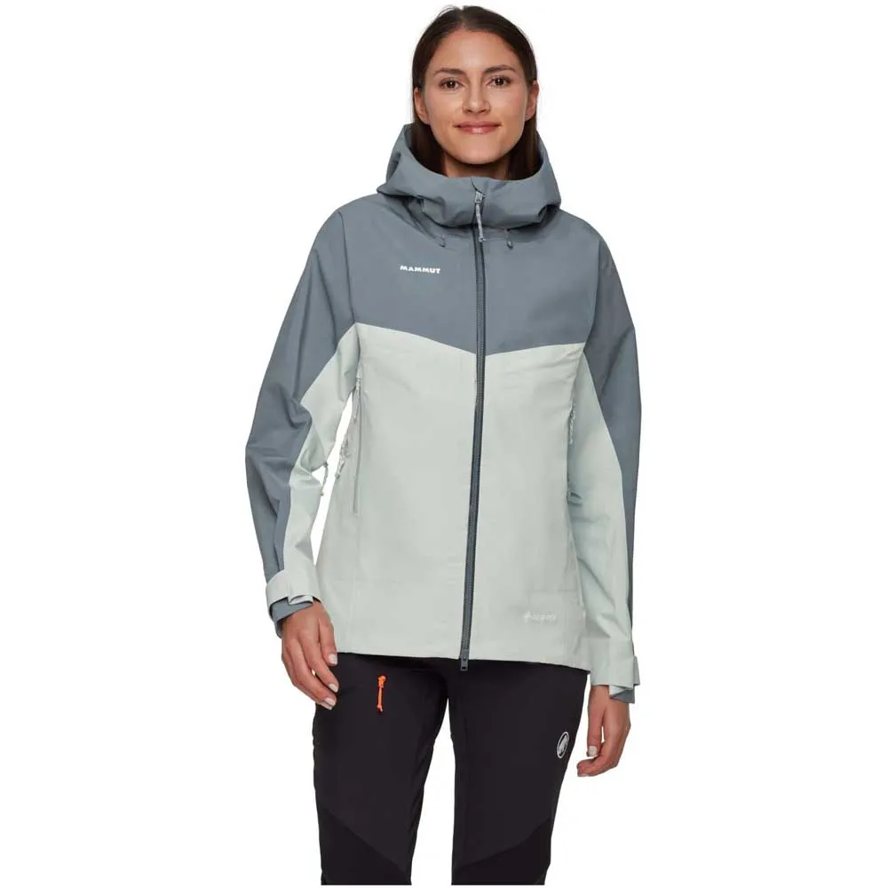 Mammut Crater Iv Hardshell Gore-tex® Jas Zilver