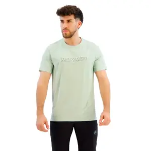 Mammut Selun Fl Logo T-shirt Met Korte Mouwen Zilver