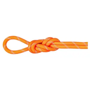 Mammut Alpine 9.5 Mm Touw Oranje