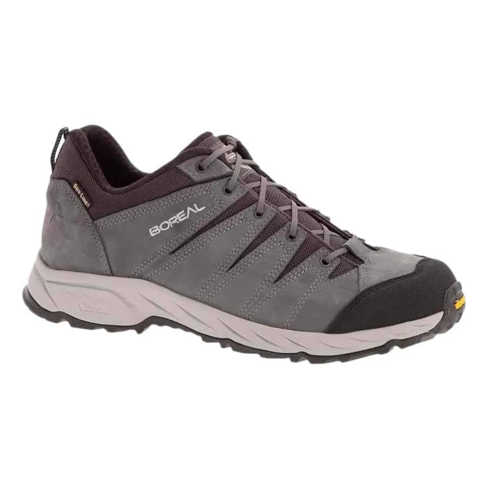 Boreal Tempest Wandelschoenen Zilver