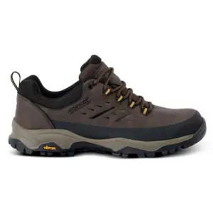 Regatta Blake Low Wandelschoenen Peat / Wood