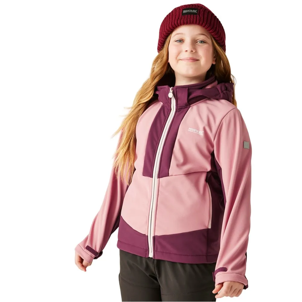 Regatta Haydenbury Softshelljack Dusty Rose / Fossil