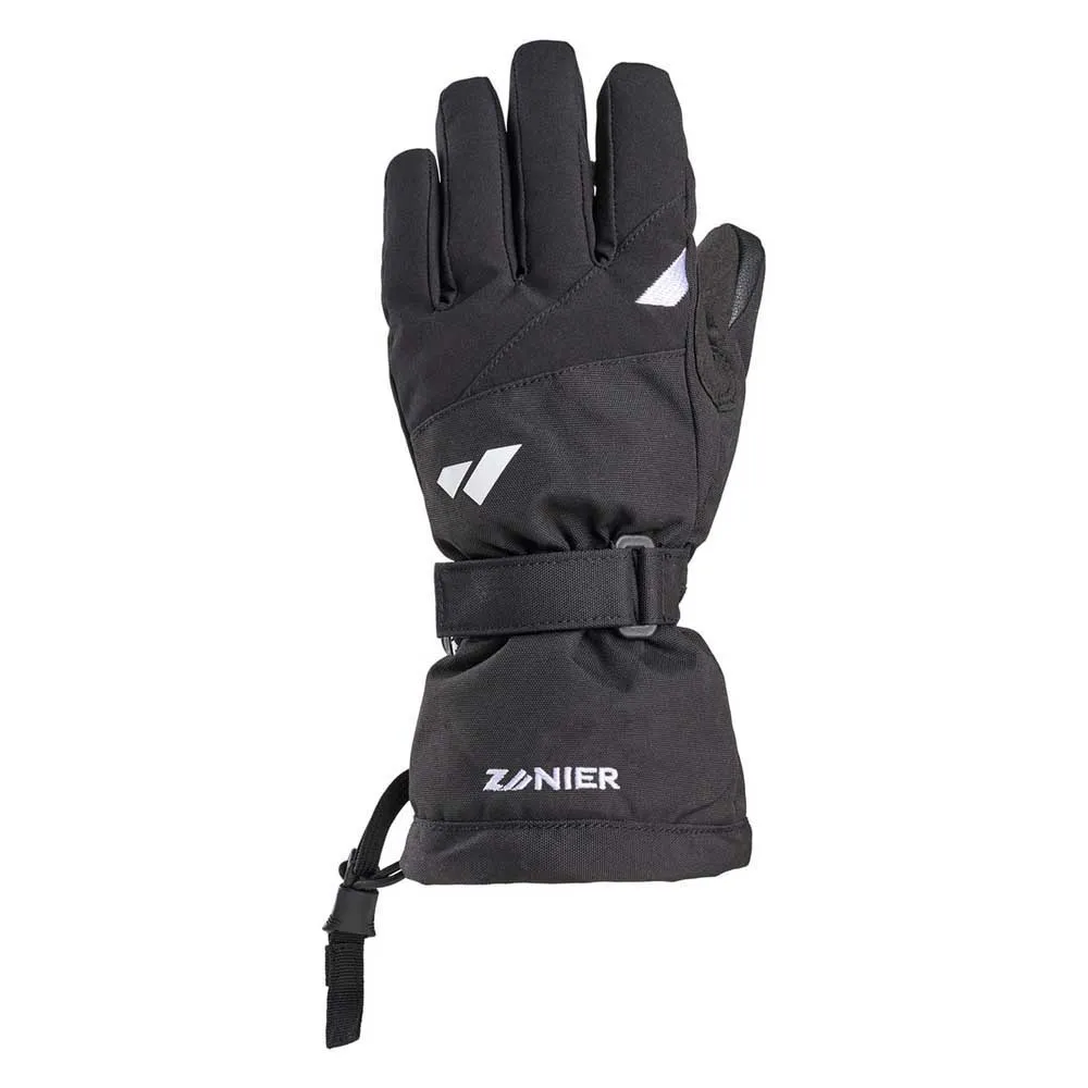 Zanier Lofer Gore-tex® Handschoenen Zwart