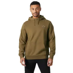 Helly Hansen Massif Graphic Hoodie Sepia
