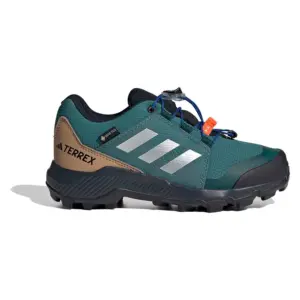 Adidas Terrex Gore-tex® Wandelschoenen Zilver