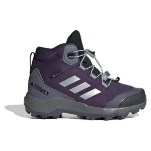 Adidas Terrex Mid Gore-tex® Wandelschoenen Zilver