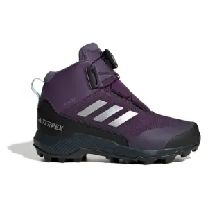 Adidas Terrex Winter Mid Boa Rain.rdy Wandelschoenen Zilver