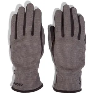 Spyder Bandit Handschoenen Polar