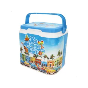 Colorbaby Zomertrends In Stijve Kunststof Koelkasten 24l Multicolor