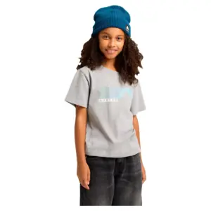 Burton Elmore T-shirt Met Korte Mouwen Grijs