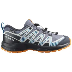 Salomon Xa Pro V8 Wp Wandelschoenen Blauw