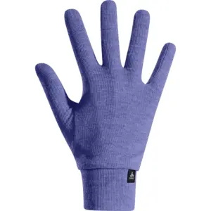 Odlo Active Warm Eco Handschoenen Blauw