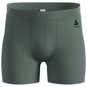 Odlo Merino 160 Boxers Urban Chic