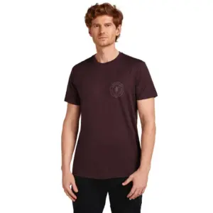Icebreaker Merino 150 Tech Lite Hike Naturally T-shirt Met Korte Mouwen Java