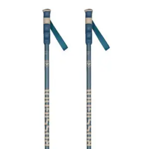 Rossignol Stove Stokken 20 Paren Multicolor