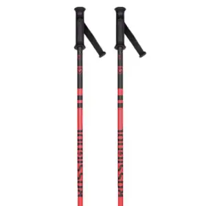 Rossignol Stove Stokken 30 Paren Multicolor