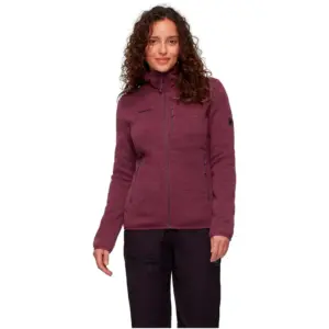 Mammut Arctic Iv Fleece Met Volledige Rits Ink Melange