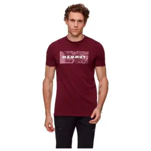 Mammut Trovat Logo T-shirt Met Korte Mouwen Vin
