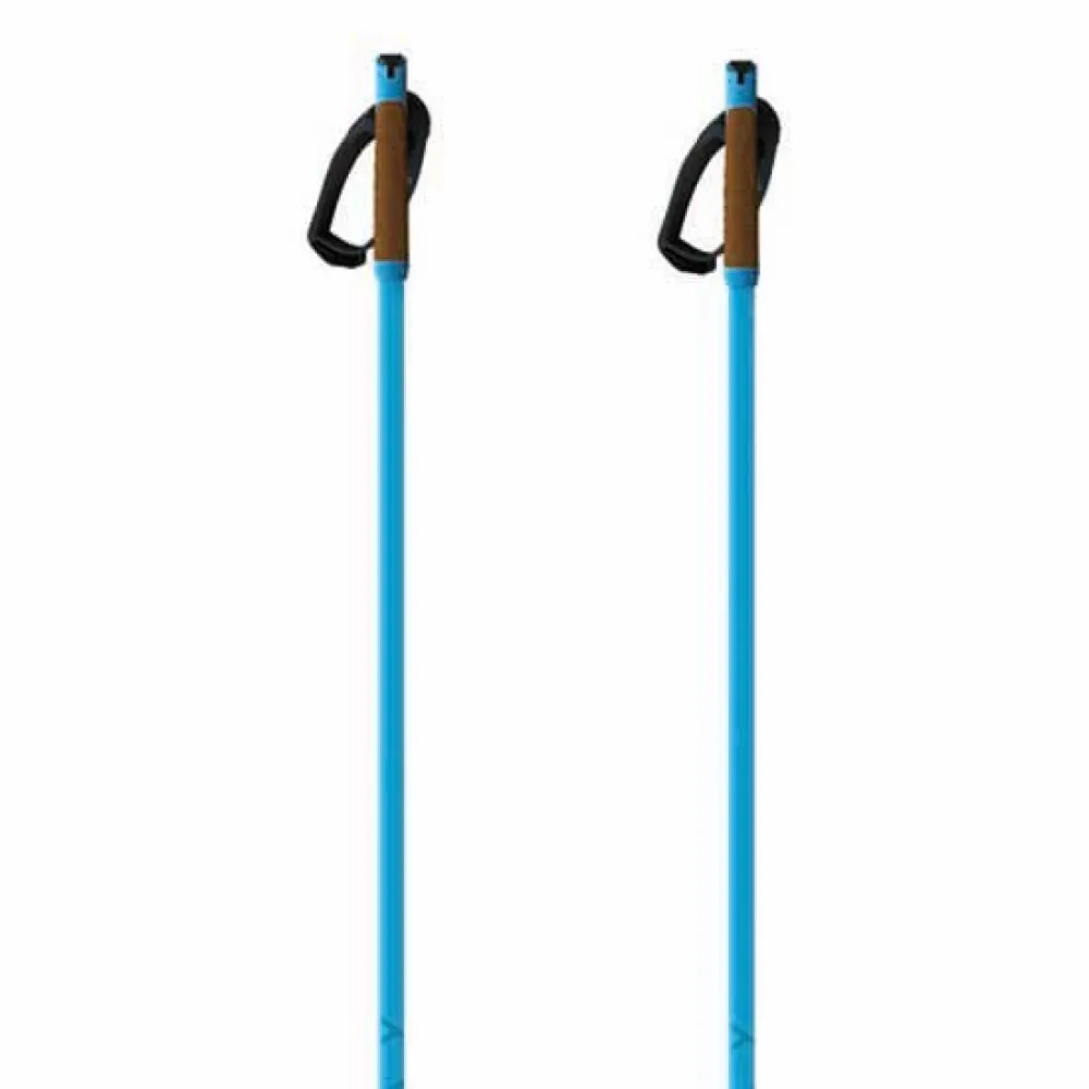 Fischer Storm Gtx S Stokken Blauw