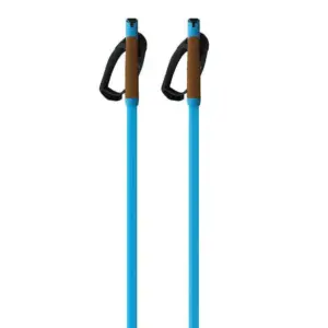 Fischer Storm Gtx M Stokken Blauw