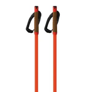 Fischer Storm Gtx M Stokken Oranje