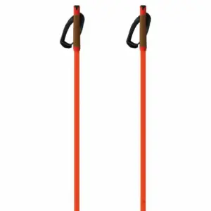 Fischer Storm Gtx S Stokken Oranje