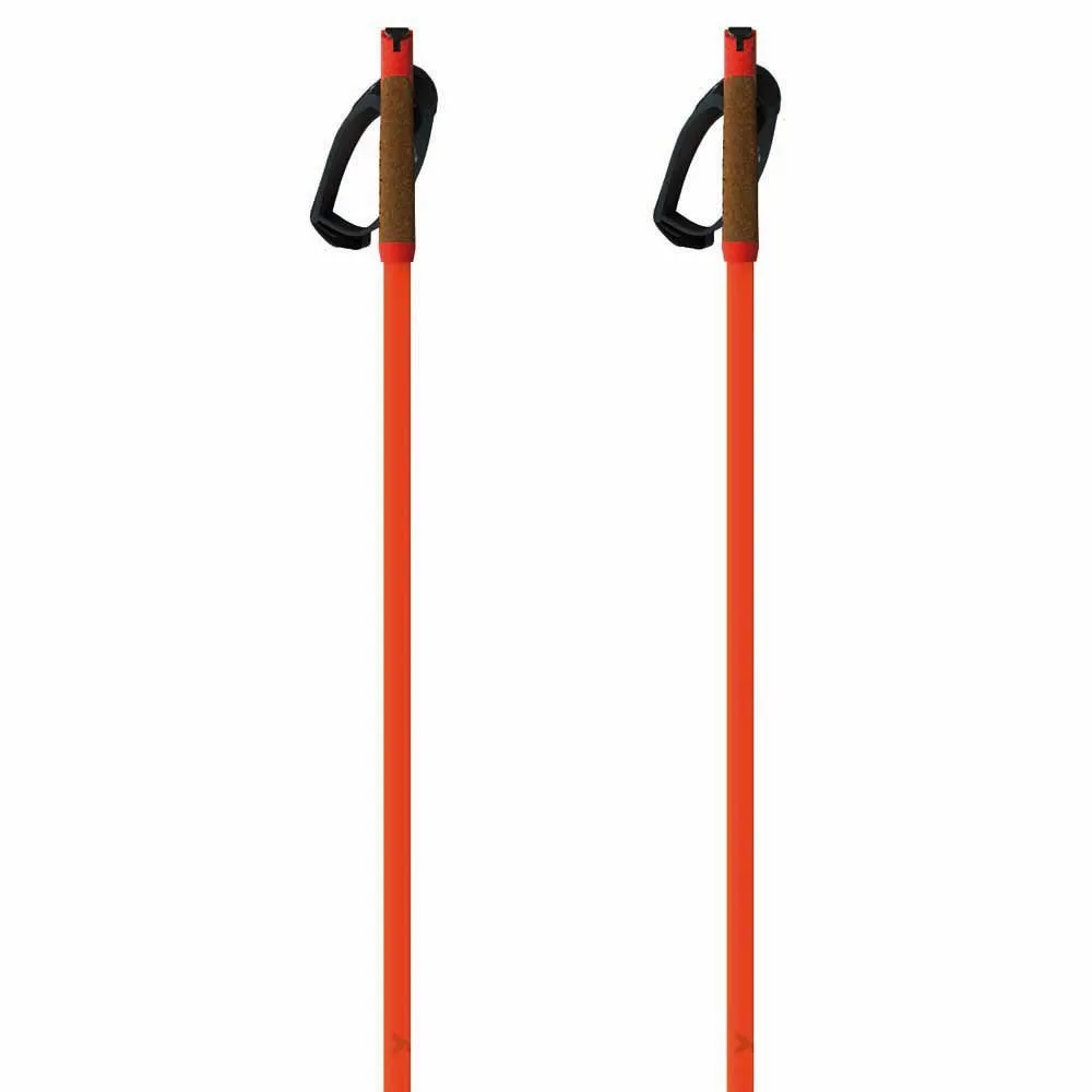 Fischer Storm Gtx S Stokken Oranje