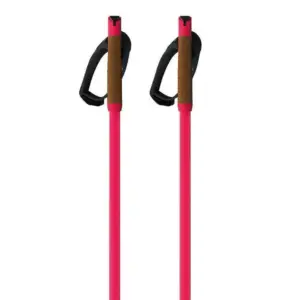 Fischer Storm Gtx M Stokken Roze
