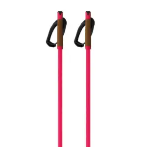 Fischer Storm Gtx L Stokken Roze