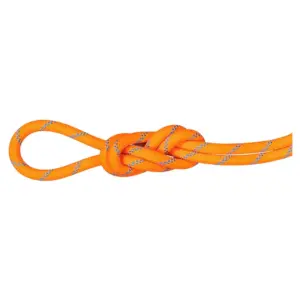 Mammut 8.7 Mm Alpine Sender Dry 30 M Touw Oranje