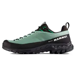 Mammut Alnasca Iv Low Gore-tex® Wandelschoenen Zilver