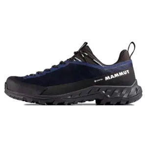 Mammut Alnasca Iv Low Wandelschoenen Marine / Nebla