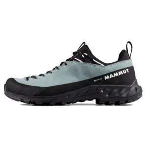 Mammut Alnasca Iv Low Lth Gore-tex® Wandelschoenen Wit