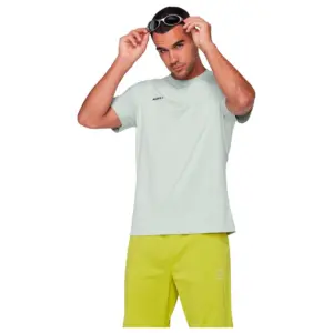 Mammut Base Mini Logo T-shirt Met Korte Mouwen Zilver