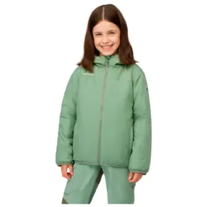 Mammut Rime In Jas Willow