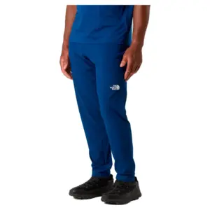 The North Face 24/7 Woven Joggers Blauw