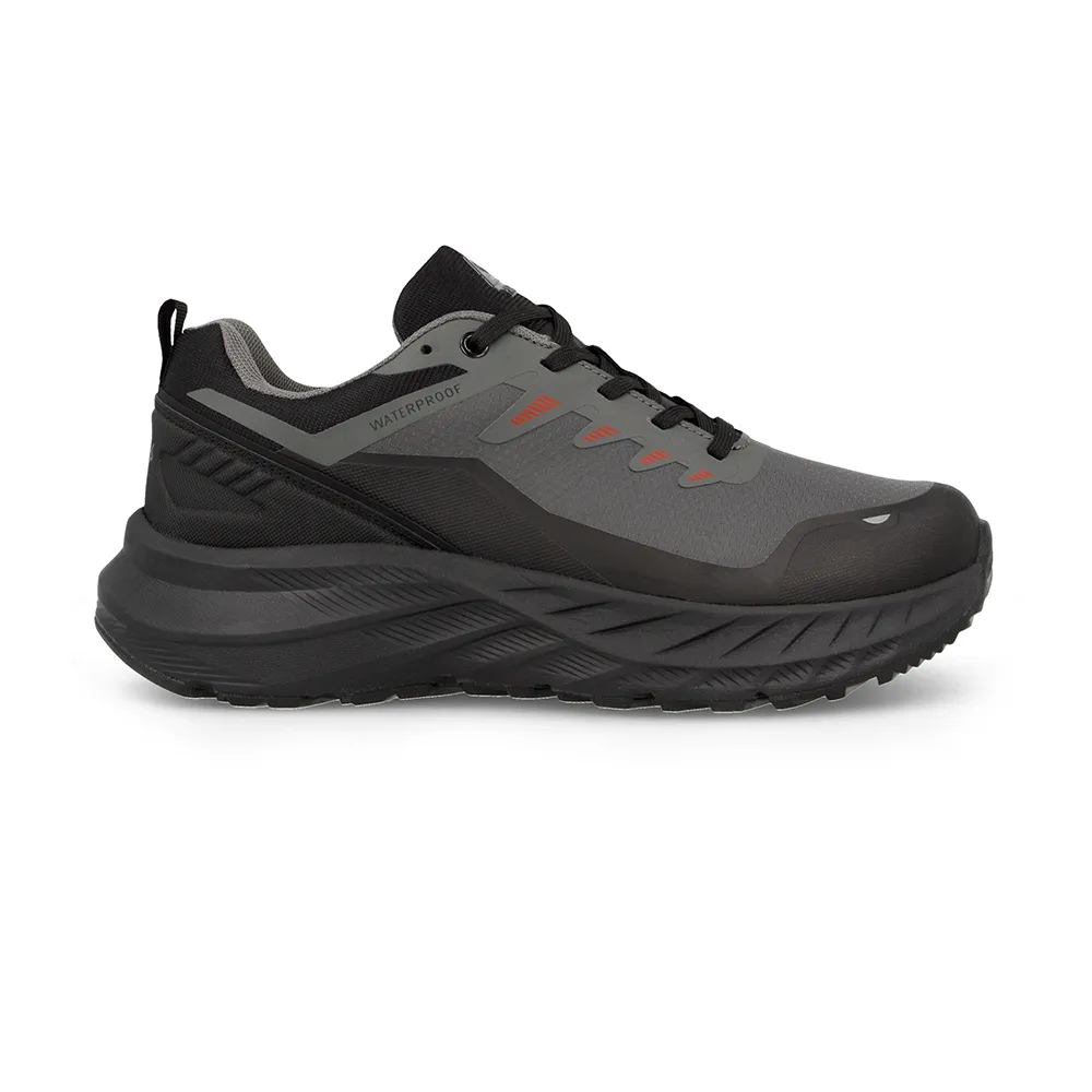 Paredes Llombai Wandelschoenen Grijs