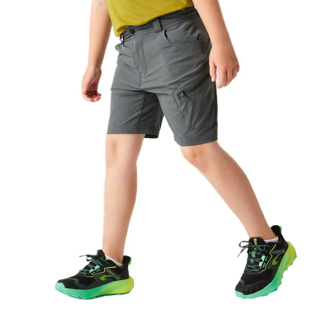 Dare2b Reprise Iii Korte Broek Magnet