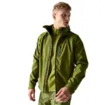 Groen