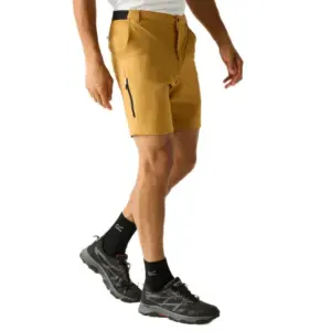 Regatta Anti-insect Travel Light Korte Broek Bruin