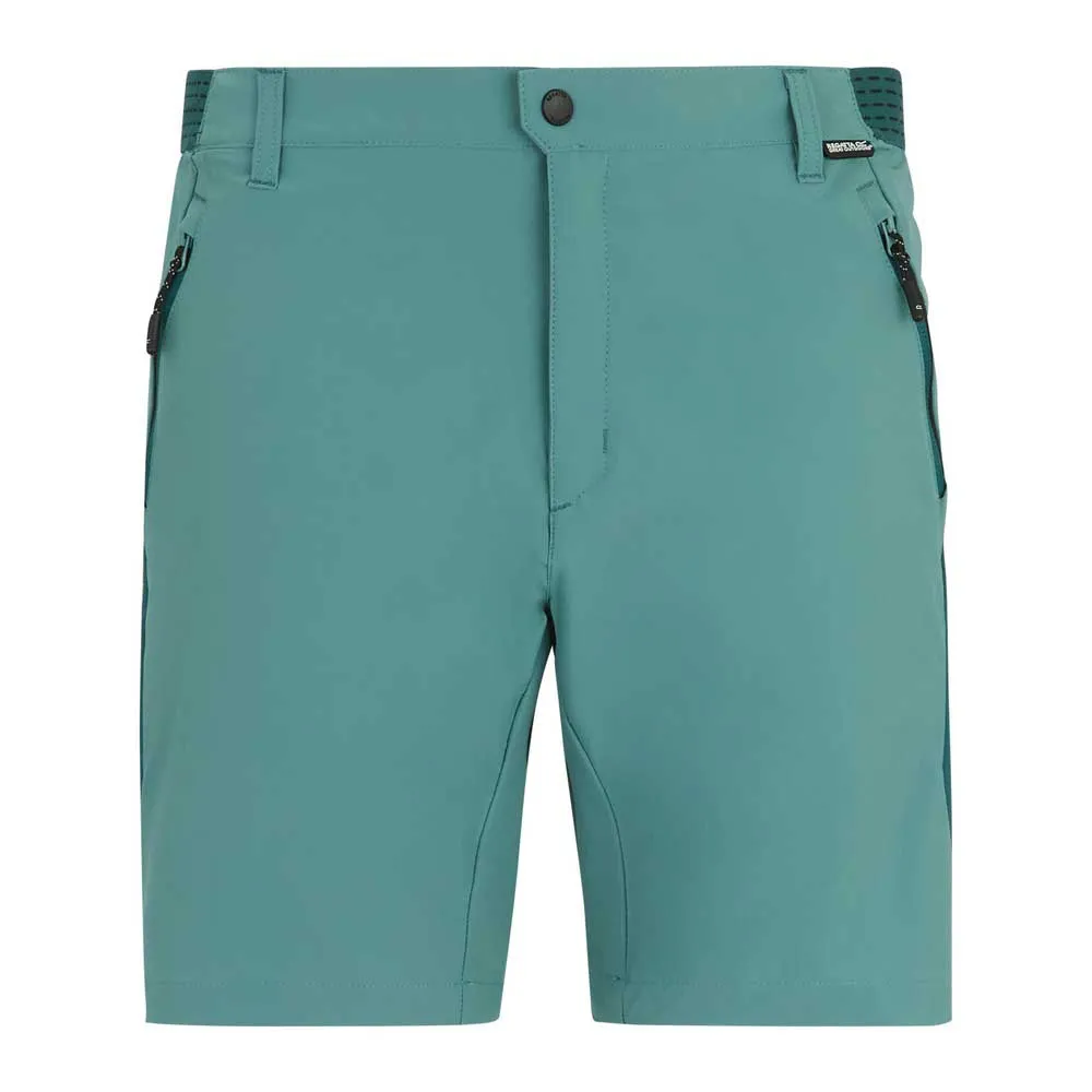 Regatta Mountain Korte Broek Arctic / Mediterranea