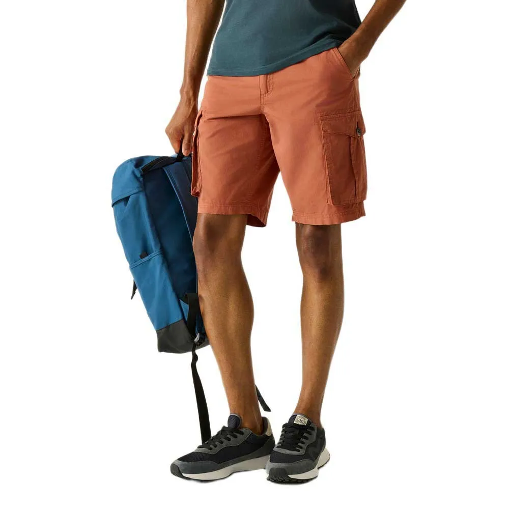 Regatta Shorebay Ii Korte Broek Brick