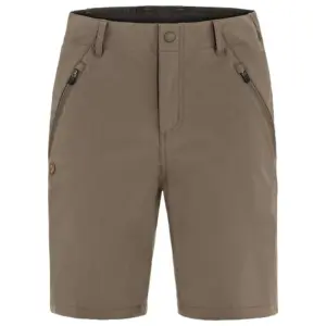 Fjällräven Abisko Trail Stretch Korte Broek Bruin