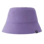 Misty Violet