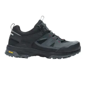 Regatta Regen Low Wandelschoenen Briar / Riored
