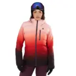 Organ