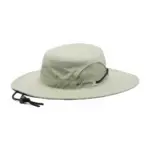 Safari