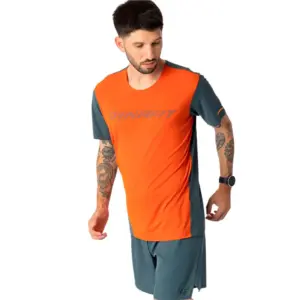 Dynafit Alpine 2 T-shirt Met Korte Mouwen Alabama